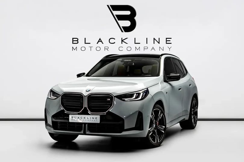BMW X3 (Gris)