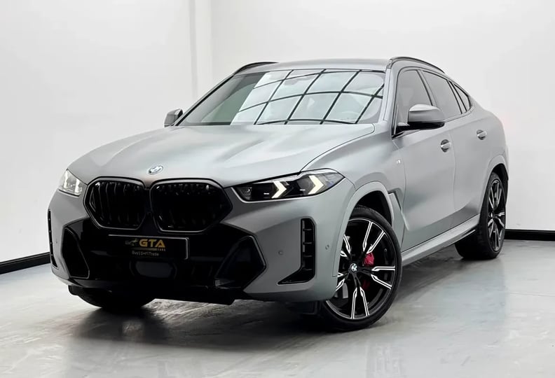 BMW X6 (Gris)