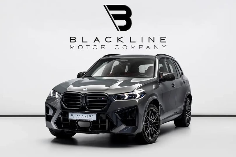 BMW X5 (Gris)