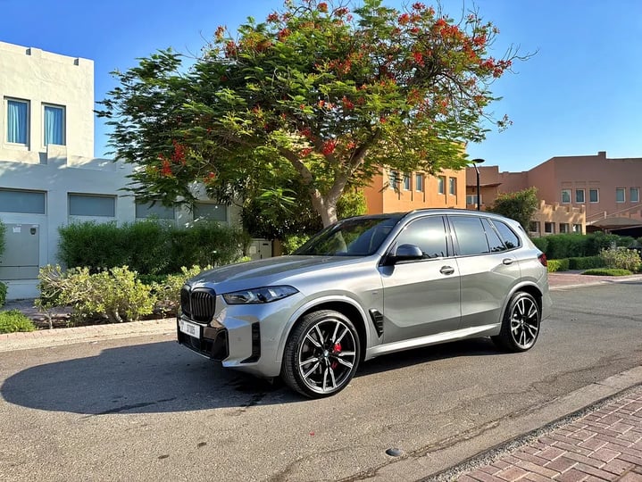 BMW X5 (Zilver)