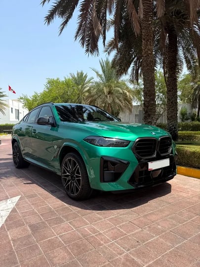 BMW X6 (Groen)