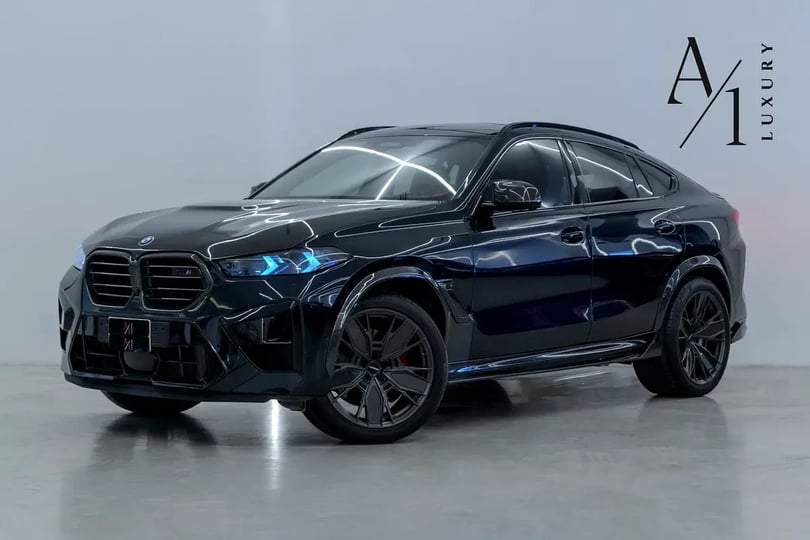 BMW X6 (Blau)