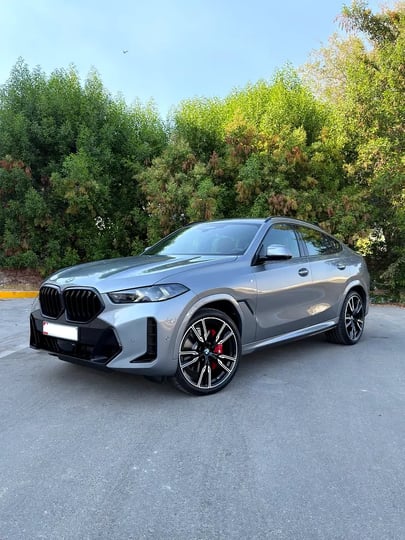 BMW X6 (Grau)