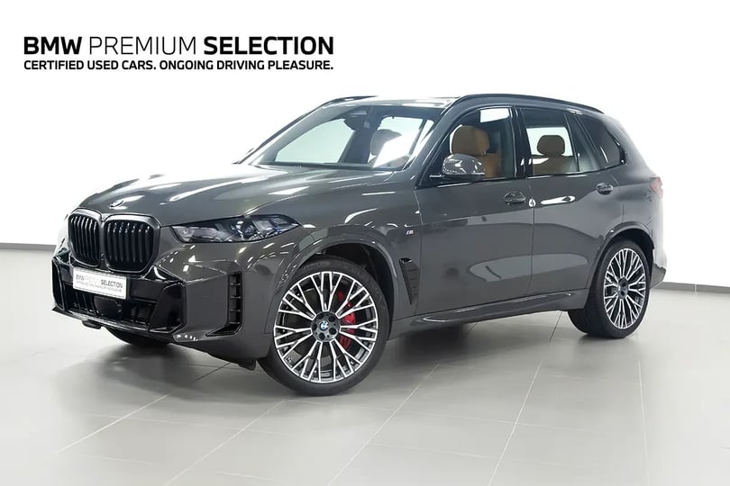 BMW X5 (Grau)