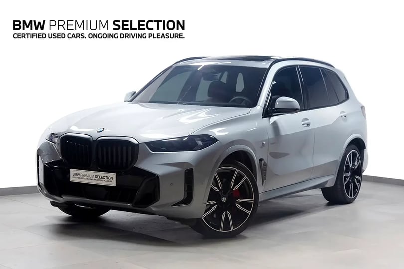 BMW X5 (Grau)