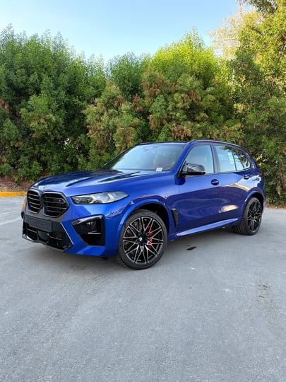BMW X5 (Blue)