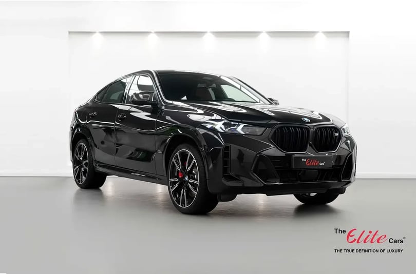 BMW X6 (Siyah)