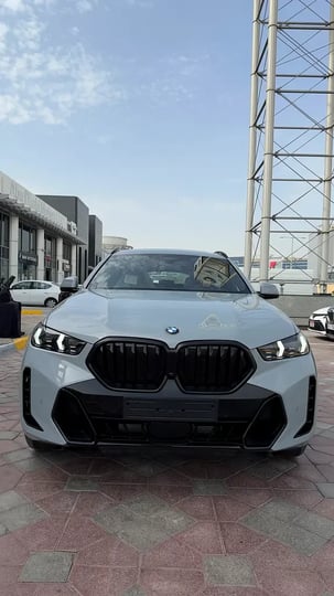 BMW X6 (Gri)