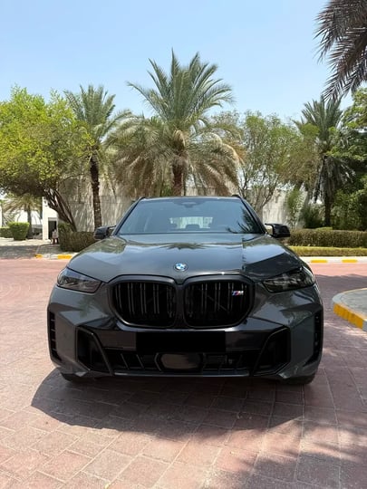 BMW X5 (Gri)