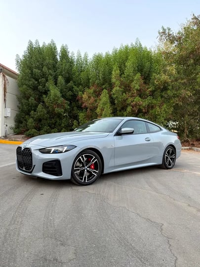 BMW 4 Serisi (Gri)