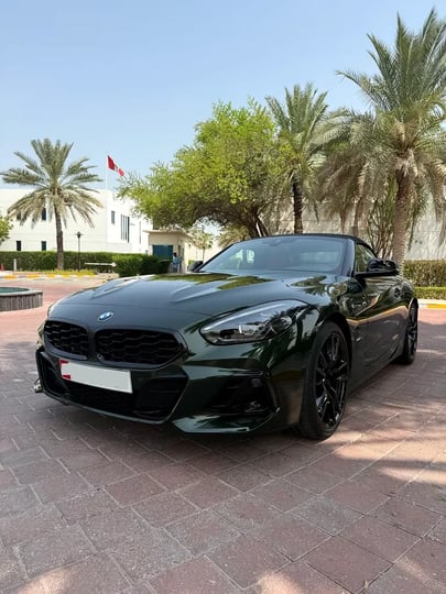 BMW Z4 (Yeşil)