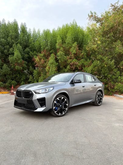 BMW X2 (Grey)