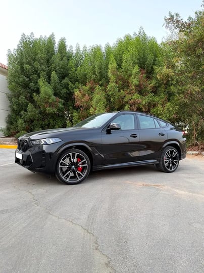 BMW X6 (Black)