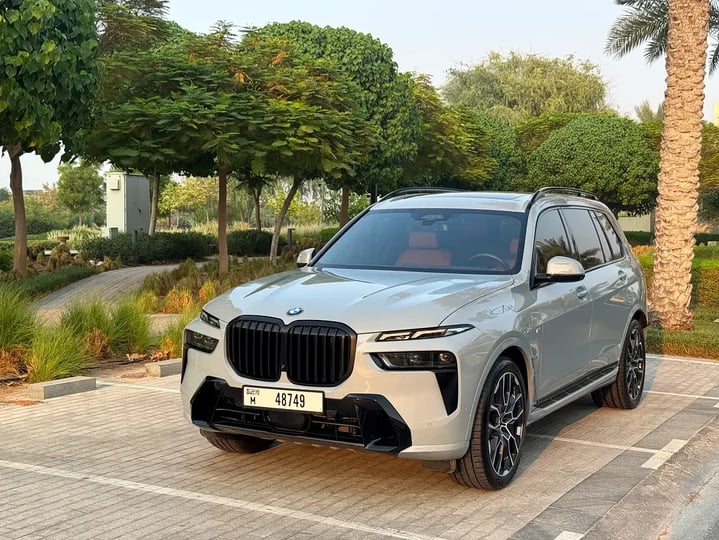 BMW X7 (Grau)