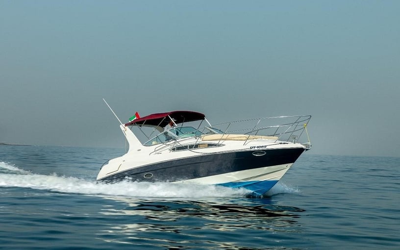 إيجار Regal 33 قدم (11m) في دبي