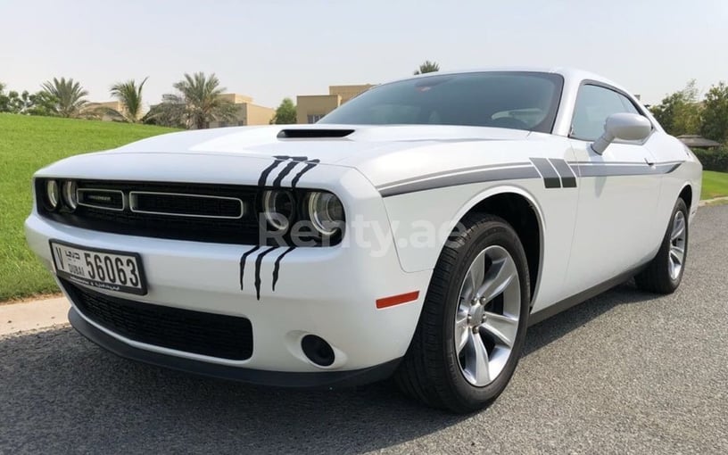 Dodge Challenger (Weiß), 2017  zur Miete in Dubai