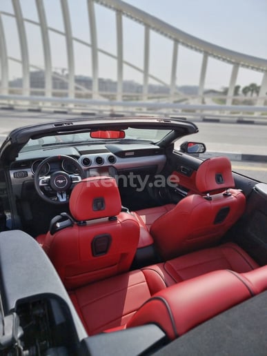 Dubai'de kiralık Ford Mustang Eco Boost V4 cabrio (Siyah), 2019
