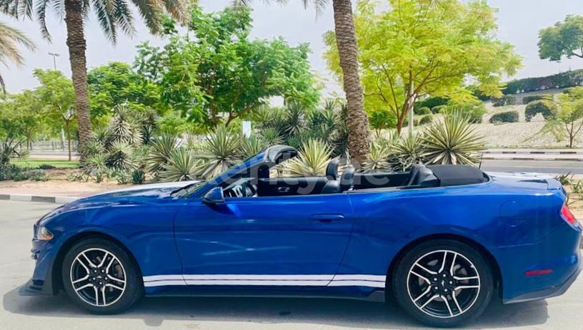 Ford Mustang (Blu), 2019 in affitto a Dubai