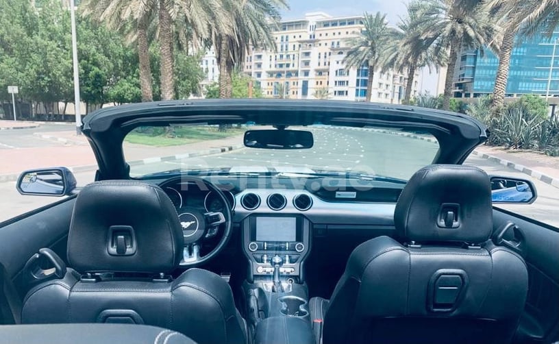 Ford Mustang (Blu), 2019 in affitto a Dubai
