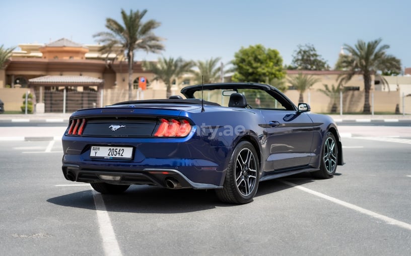 Ford Mustang cabrio (Темно-синий), 2020 для аренды в Абу-Даби