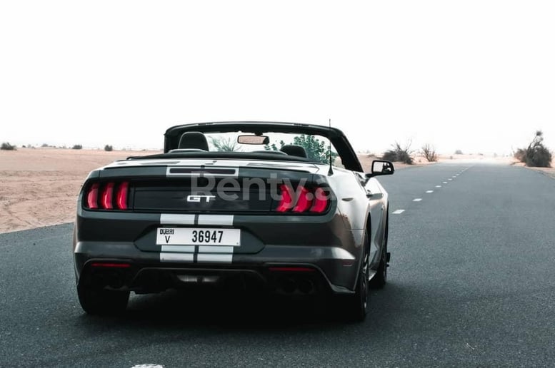 Ford Mustang cabrio V8 (Grigio Scuro), 2020 in affitto a Sharjah