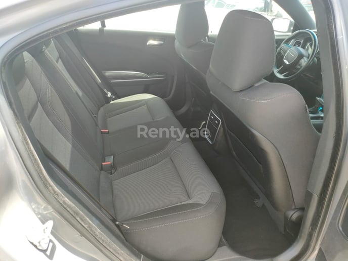 Dodge Charger (Grau), 2019  zur Miete in Dubai