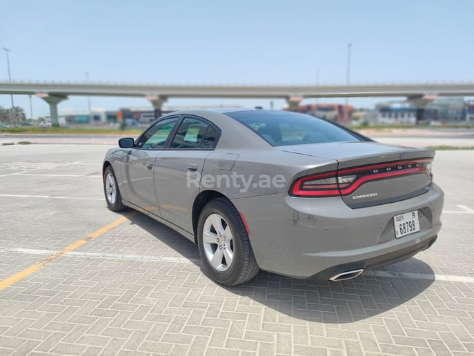 Dodge Charger (Grau), 2019  zur Miete in Dubai