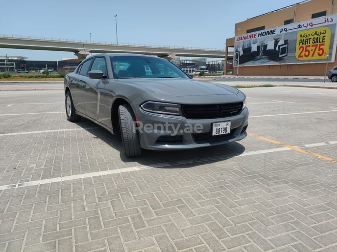 Dodge Charger (Grau), 2019  zur Miete in Dubai
