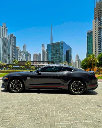 在迪拜 租 福特野马 Mach 1 V8 (灰色), 2022