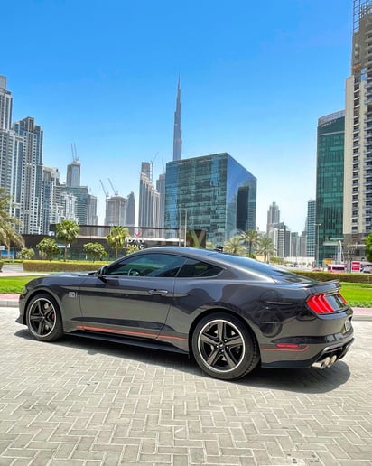 在迪拜 租 福特野马 Mach 1 V8 (灰色), 2022