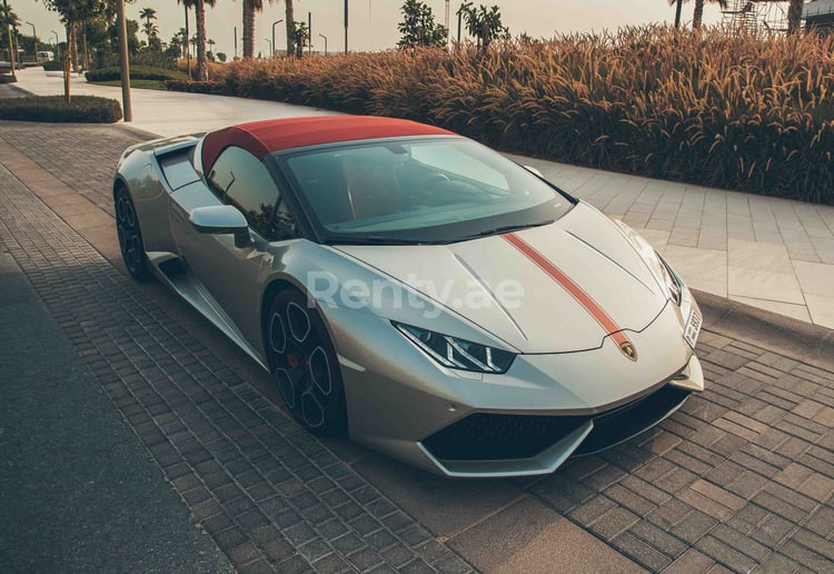 إيجار لامبورغيني هوراكان سبايدر LP-610 (فضة), 2017 في دبي