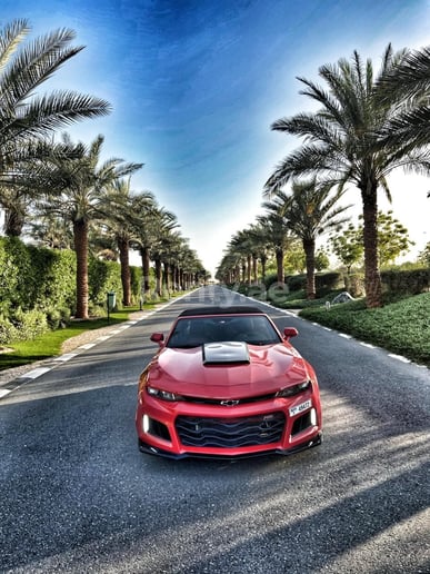 Chevrolet Camaro (Rot), 2018  zur Miete in Dubai