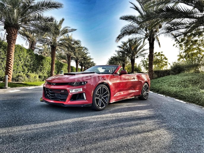 Chevrolet Camaro (Rot), 2018  zur Miete in Dubai