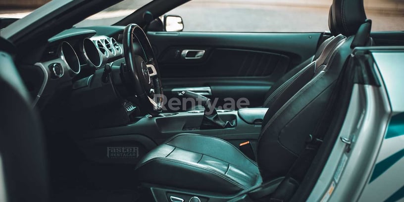 Dubai'de kiralık Ford Mustang (G&uuml;m&uuml;ş), 2019