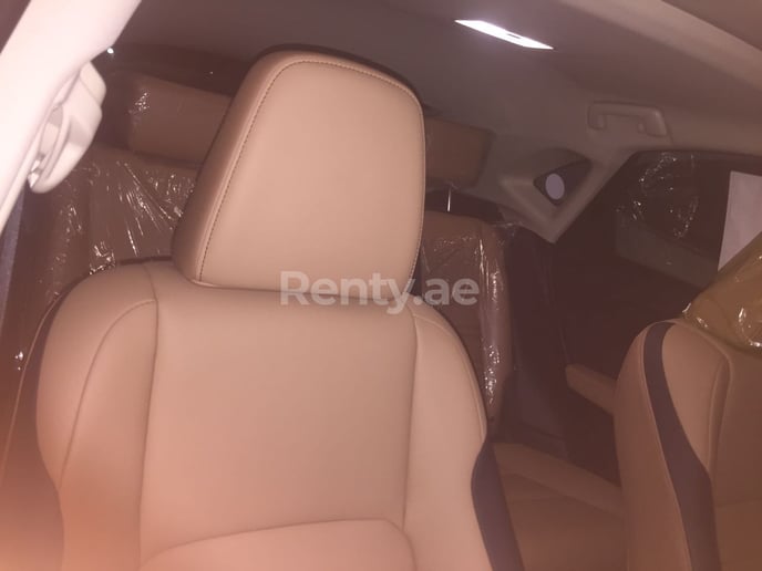 LEXUS NX 200 (Silber), 2018  zur Miete in Dubai