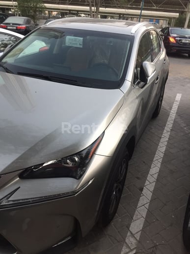 LEXUS NX 200 (Silber), 2018  zur Miete in Dubai