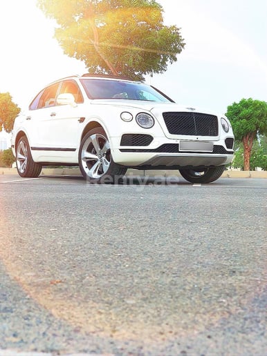 Bentley Bentayga black edition w12 (Blanco), 2019 para alquiler en Dub&aacute;i