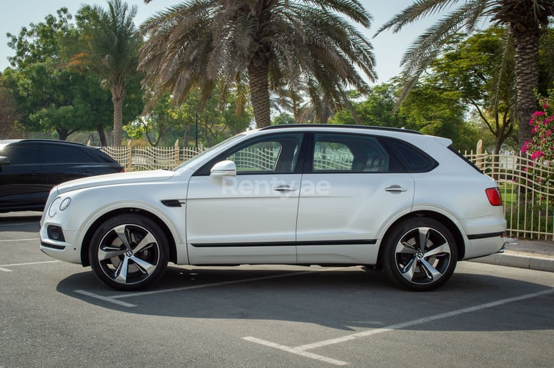 Bentley Bentayga (Bianca), 2019 in affitto a Dubai