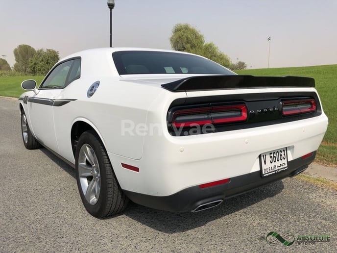 Dodge Challenger (Wei&szlig;), 2017  zur Miete in Dubai