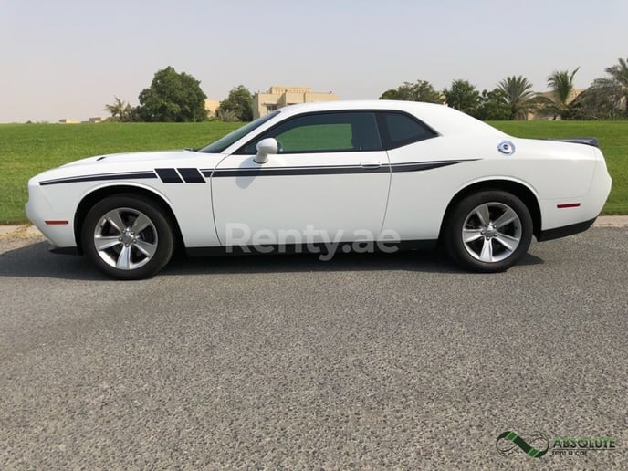 Dodge Challenger (Wei&szlig;), 2017  zur Miete in Dubai