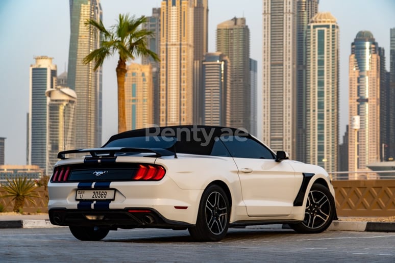 Ford Mustang Cabrio (Bianca), 2019 in affitto a Dubai