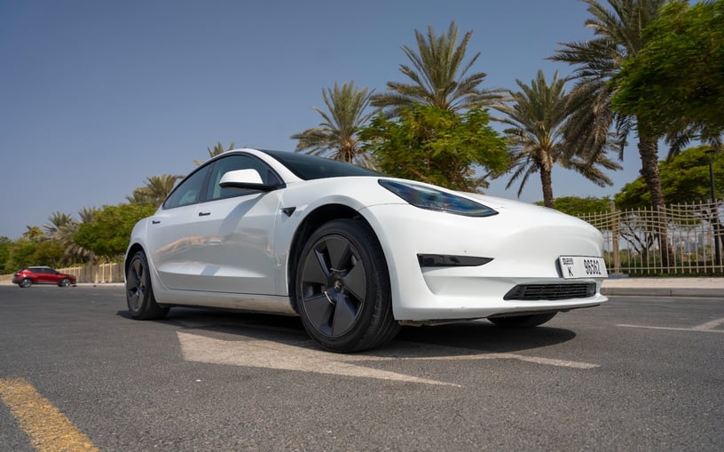 在哈伊马角租车 租 特斯拉Model 3 (白色), 2023