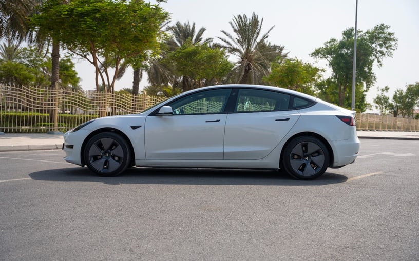 在哈伊马角租车 租 特斯拉Model 3 (白色), 2023