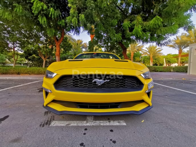 Ford Mustang cabrio (Yellow), 2018 for rent in Sharjah