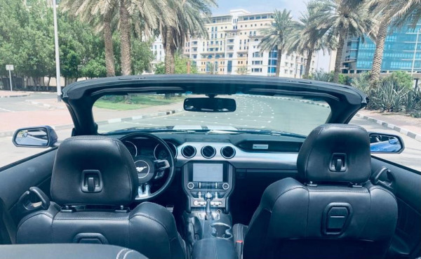 أزرق Ford Mustang, 2019 للإيجار في دبي 5