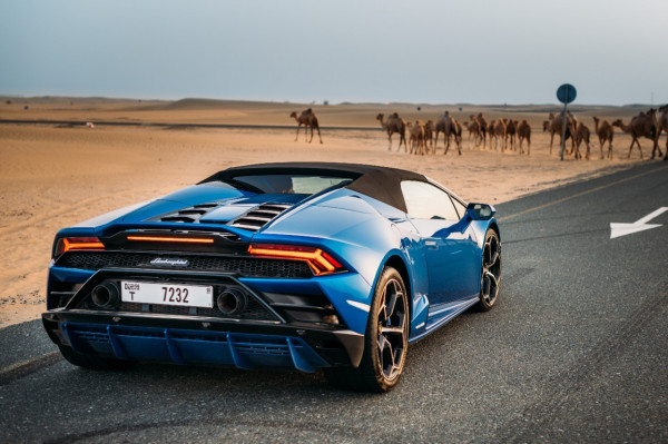 Blue Lamborghini Evo Spyder, 2020 for rent in Dubai 3