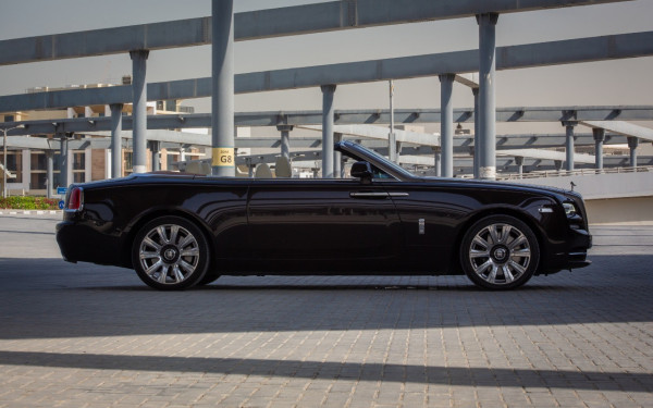 Dark Brown Rolls Royce Dawn, 2018 for rent in Dubai 8