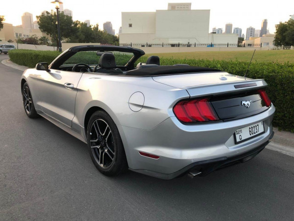 Grey Ford Mustang, 2019 for rent in Dubai 1