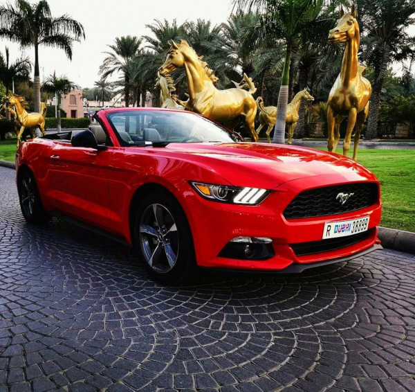 红色 Ford Mustang Convertible, 2018 迪拜汽车租凭 3