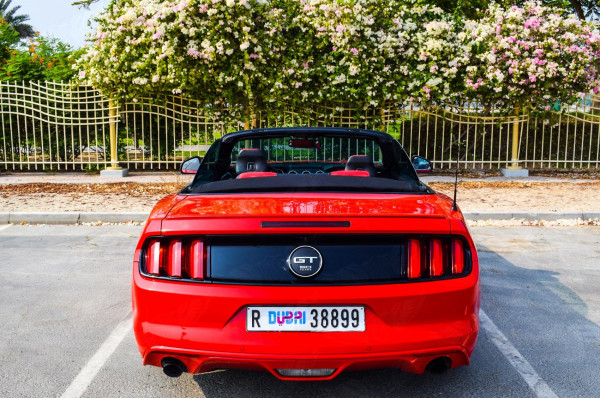 红色 Ford Mustang Convertible, 2018 迪拜汽车租凭 2